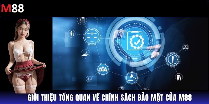 Giới thiệu về việc chính sách bảo mật m88