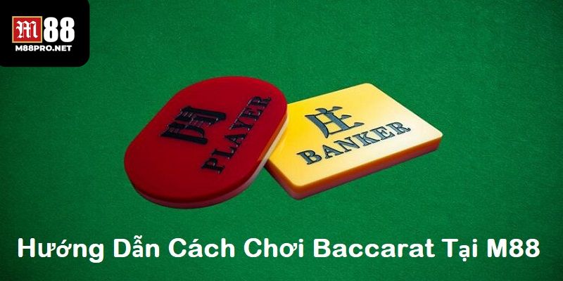 Hướng dẫn cách chơi bài baccarat cho người mới
