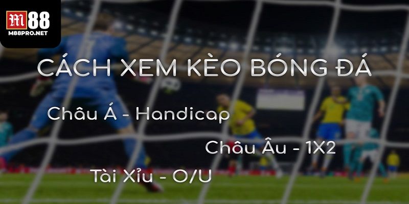 Hướng dẫn và các hình thức cá cược bóng đá tại m88