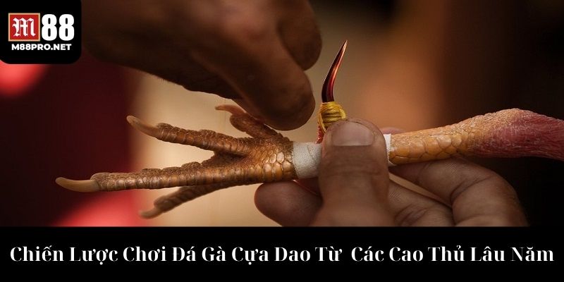 Kinh nghiệm là điều quan trọng để chiến thắng trong bộ môn này