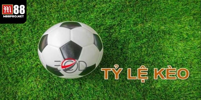 Ưu điểm nổi bật làm kèo nhà cái trở nên đông đảo người chơi