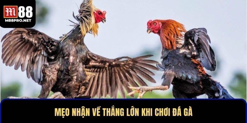 Những mẹo mà người chơi nên biết để nắm rõ phần thắng