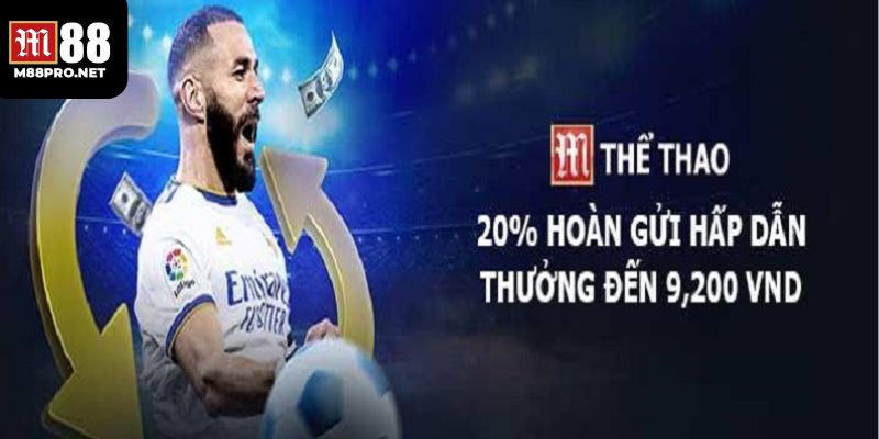 Giới thiệu sơ lược về sảnh thể thảo m88